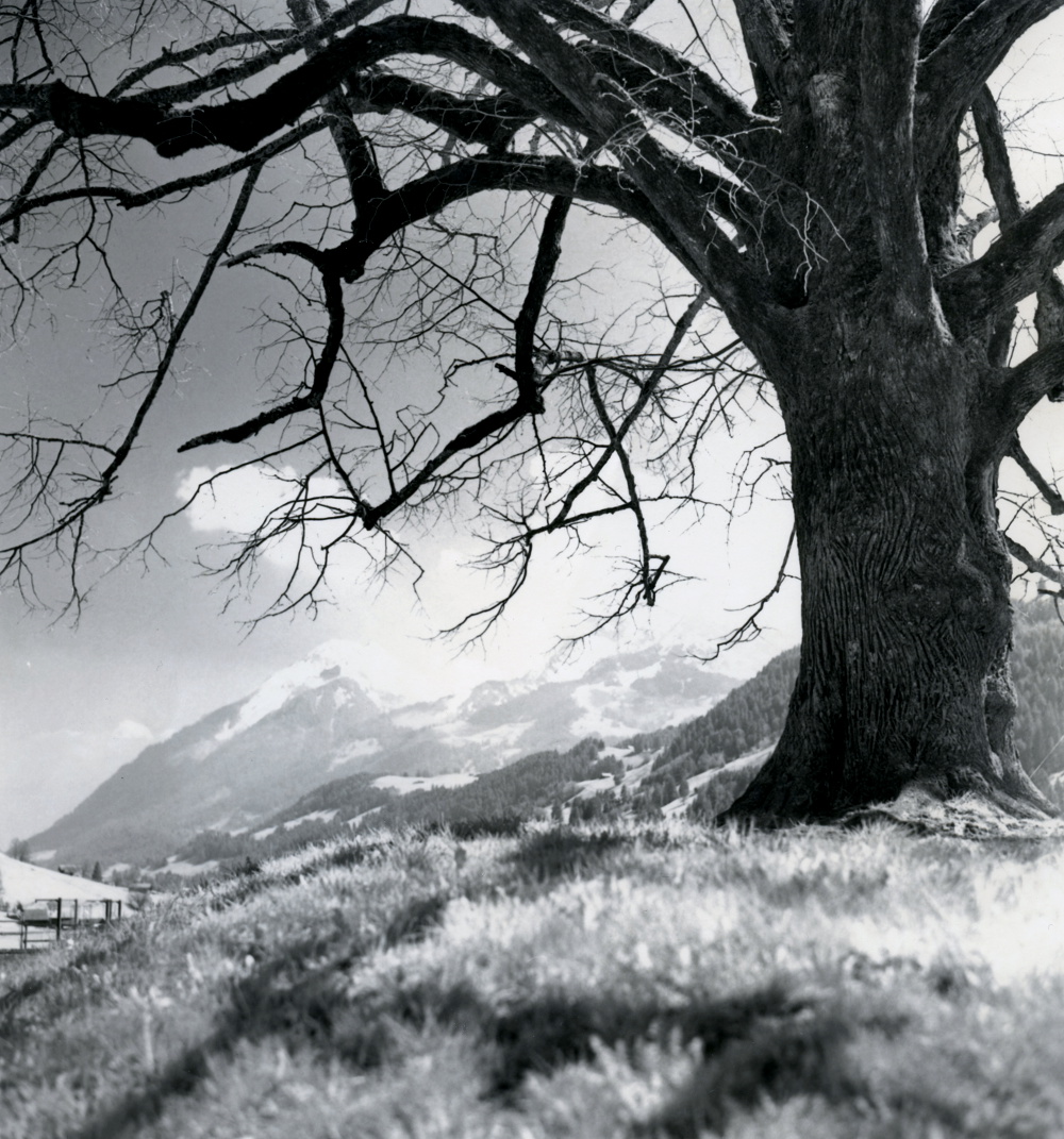 Berner Oberland, Schweiz